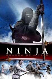 Ninja: Shadow of a Tear