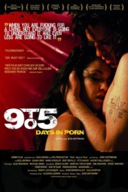 9to5: Days in Porn